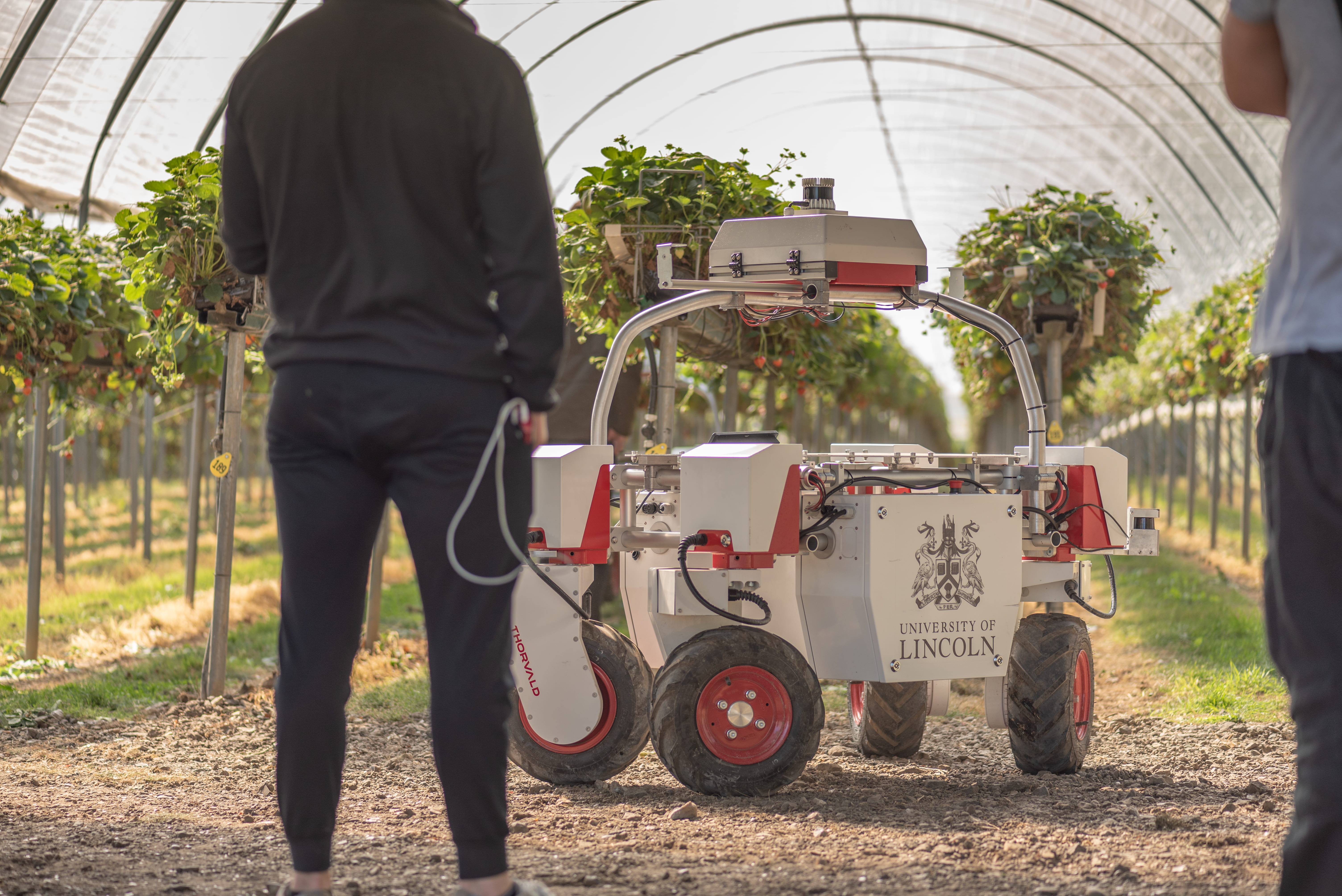 Two people looking at Lincoln branded Thorvald robot at strawberry farm