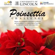 Festive fun – Poinsettia Challenge portrait avatar.